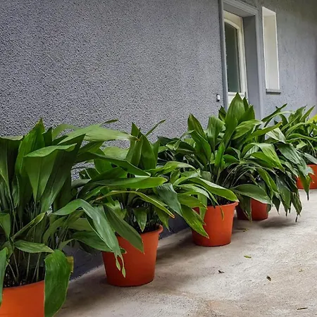 Casa Dei Cigni Holiday home Cannobio