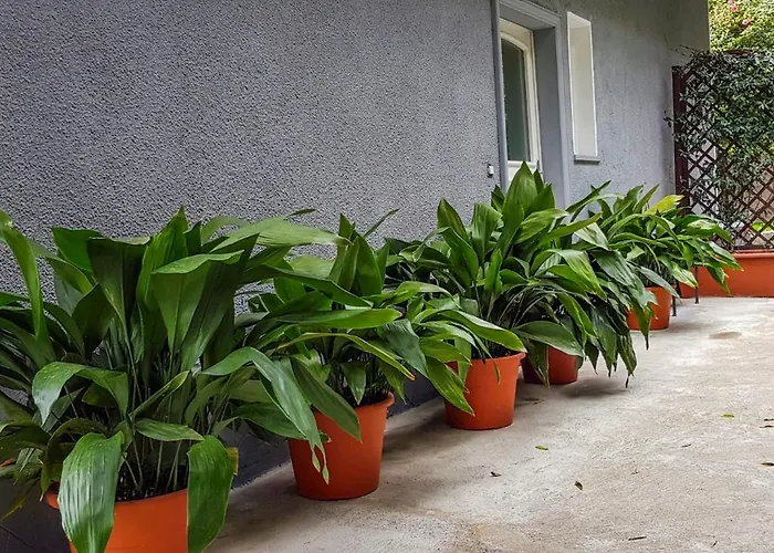 Casa Dei Cigni Holiday home Cannobio